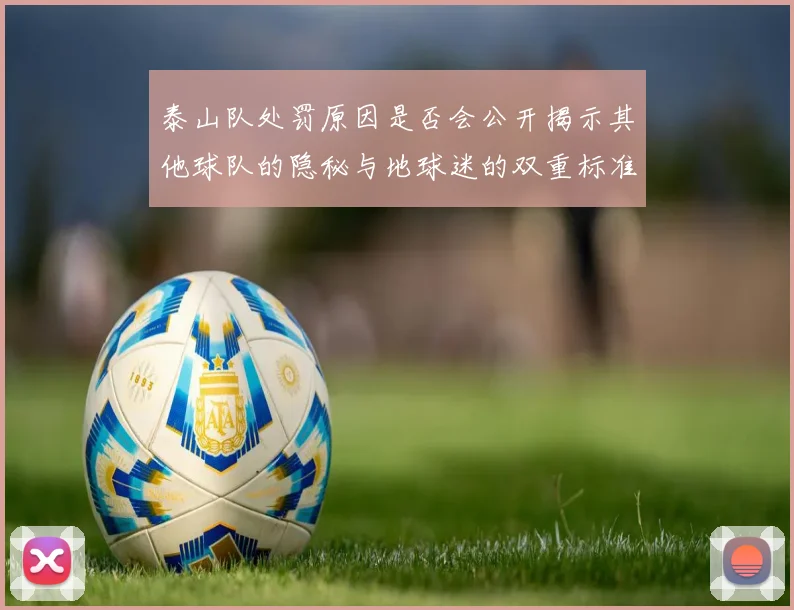 泰山队处罚原因是否会公开揭示其他球队的隐秘与地球迷的双重标准