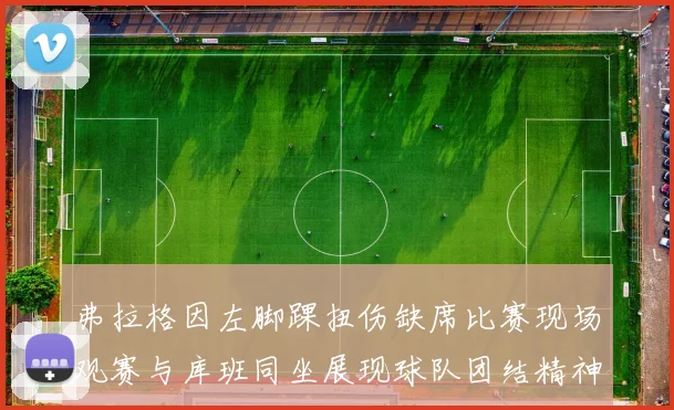 弗拉格因左脚踝扭伤缺席比赛现场观赛与库班同坐展现球队团结精神