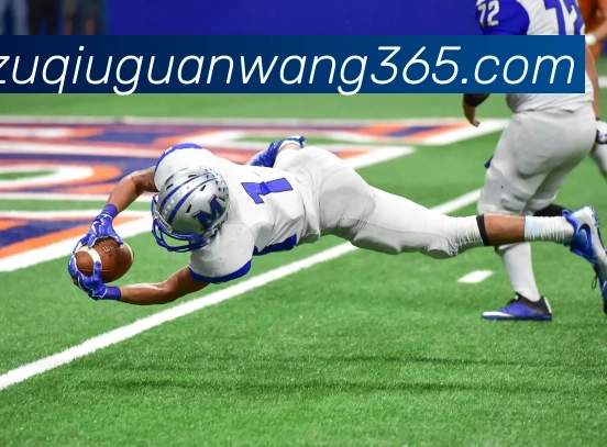 摩博体育平台生态图