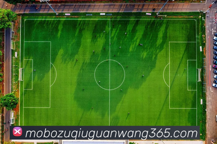 摩博体育全站App